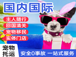 赛乌素空运公司国际宠物托运 【国